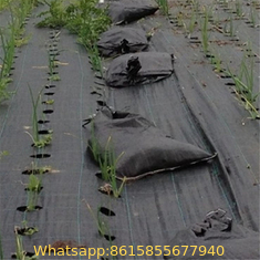 PP Woven Garden Fabric Mulch Weedmats For Garden Vegetable Weed Control