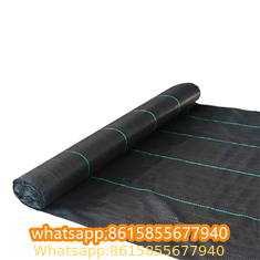 Plastic cheap anti weed mat woven PP ground cover for agriculture