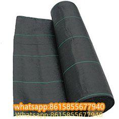 Plastic cheap anti weed mat woven PP ground cover for agriculture