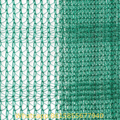 Agriculture Knitted Olive Netting,Plastic Protection Olive Net