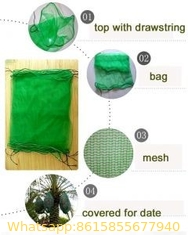 100% virgin polyethylene PE net bags for vegetables date palm packaging