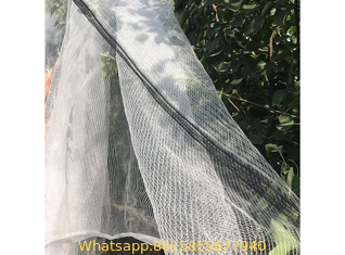 Hail Protection Net for Agriculture