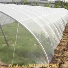 HDPE anti Insect net in roll 8X30M