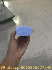 PET HAIR REMOVER PUMICE STONE (OVAL)
