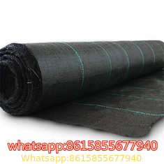 garden ground cover fabric / weed barrier mat / plastic pp anti weed agro weed control