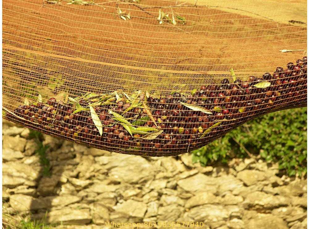 Olive Picking Nets, Fruit Harvest Net