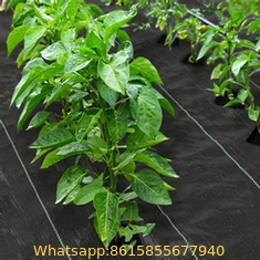 Agriculture weed control black weed mat ground cover, garden anti weed mat greenhouse fabric