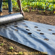 anti weed barrier weed barrier agriculture weed barrier mat Plastic Mulch Film Agricultural Black Plastic Ground Cover