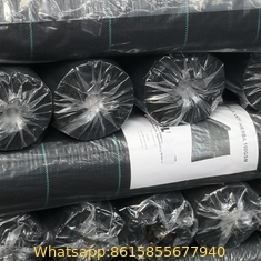 Strawberry Plant Greenhouse Weed Mat Cover Ground Control Weed Growing Anti-weed Black PP Material