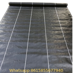 Factory Supply Landscape Fabric Anti uv plastic agricultural needle punch weed control mat mulch weed mat/weed control