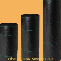 PP Woven Ground Cover For Agriculture And Garden 80gsm Black Plastic Weed Mat High Quality Anti Grass PP Ground Cover