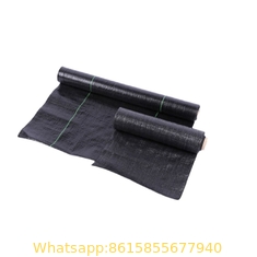Factory Crazy Price PP garden ground cover fabric / anti weed control mat 1*10m or 2*5m Fold into sheets