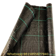 PP Woven Landscape Fabric Garden Matting Ground Cover Plastic Weed Mat to Stop Weeds