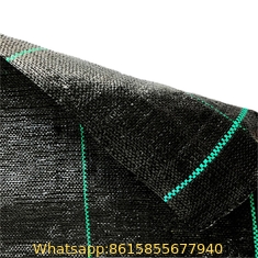 PP plastic black anti weed mat/anti grass woven fabric mat/Black color ground