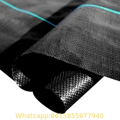 PP plastic black anti weed mat/anti grass woven fabric mat/Black color ground