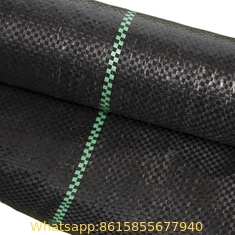 pp polypropylene landscape black plastic weed control fabric agricultural tural ground cover