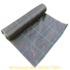 agrotextile pp woven geotextile mat ground cover /against weeds/anti-weed mats in the gardening