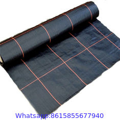 agrotextile pp woven geotextile mat ground cover /against weeds/anti-weed mats in the gardening