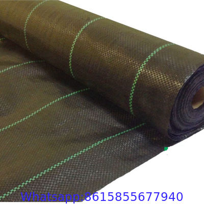 agrotextile pp woven geotextile mat ground cover /against weeds/anti-weed mats in the gardening