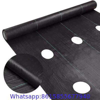 agrotextile pp woven geotextile mat ground cover /against weeds/anti-weed mats in the gardening