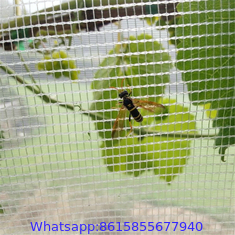 PE mesh 40 virgin hdpe greenhouse anti insect net for agricultural insect proof
