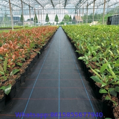 Water Savings PP Woven Mat, Weed Control Fabric with long lifespan