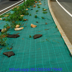 PP weed cloth, weed barrier mat, easy installed weed barrier fabric