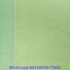 Olive Net for Agriculture