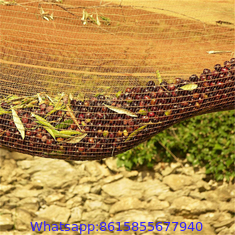 Agriculture design cheap price olive tree harvest net