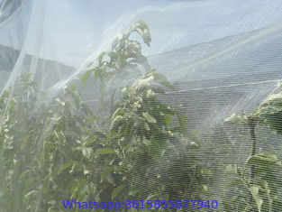 ANTI-INSECT NET with UV