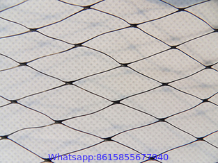 Insect Protection Nets/Insect Net/Anti Bird Net