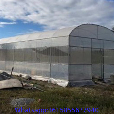 anti insect netting manufacturer