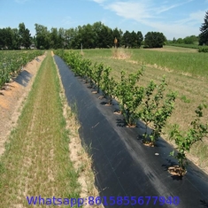 # Weed Block Fabric，Weed Mat，Anti Weed Fabric，Ground Cover Fabric，Weed Control Fabric，PE Anti Weed Fabric