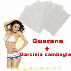 OEM Guarana Slimming Patch Weight Loss Patch