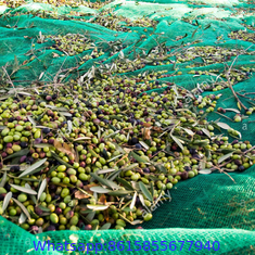 Olive Netting,Olive Falling Nets,Olive Collect Netting