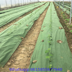 Woven weed matting in 100m x 1m rolls