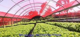 Red Anti-UV PE Plastic Shade Net for Greenhouse