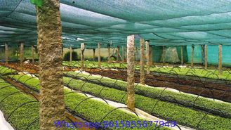 Red Anti-UV PE Plastic Shade Net for Greenhouse