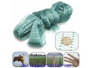 Anti-bird Netting for Fruit & Vegetable Protection