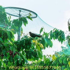 Green Gardener Protection PE Plant Support Grow Mesh Net,Anti Bird Mesh Netting