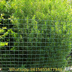 plastic grids for garden