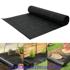 Weed Barrier Landscape Fabric