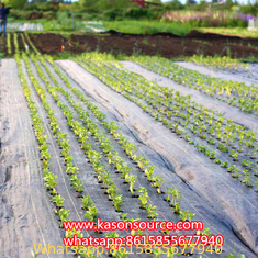 Agricultural plastic woven ground cover pp weed control mat weed barrier fabric telo pacciamatura landscape fabric