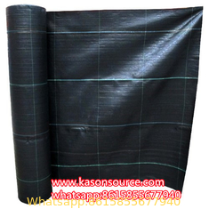 Horticulture Landscaping fabric/Weed barrier fabric/Plastic Ground Cover Net