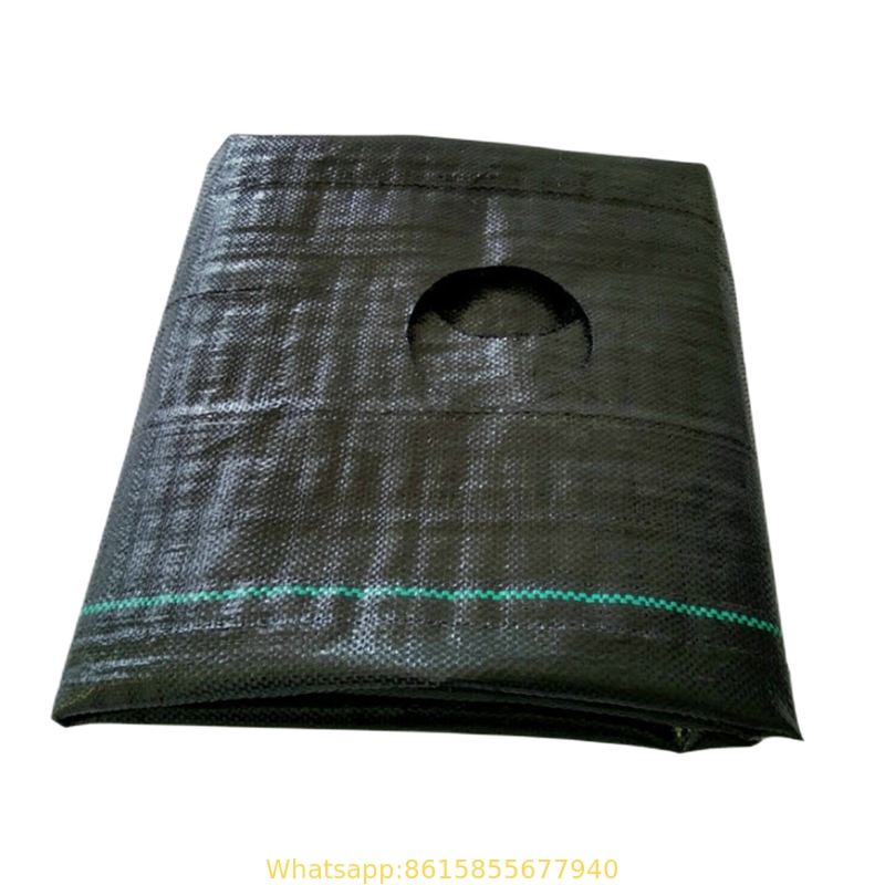 Plastic cheap 100gsm PP fabric for ground cover and weed control mat