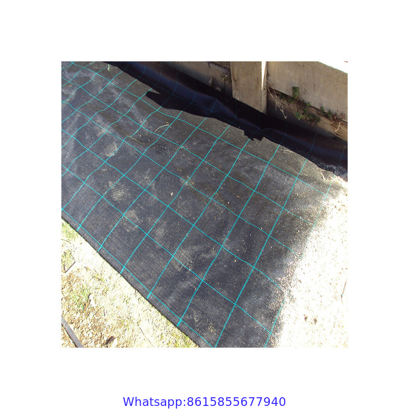 Horticulture Landscaping fabric/Weed barrier fabric/Plastic Ground Cover Net