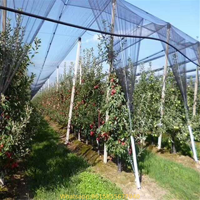 HDPE agriculture olive harvest nets for sale